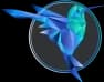 Hummingbird Agile