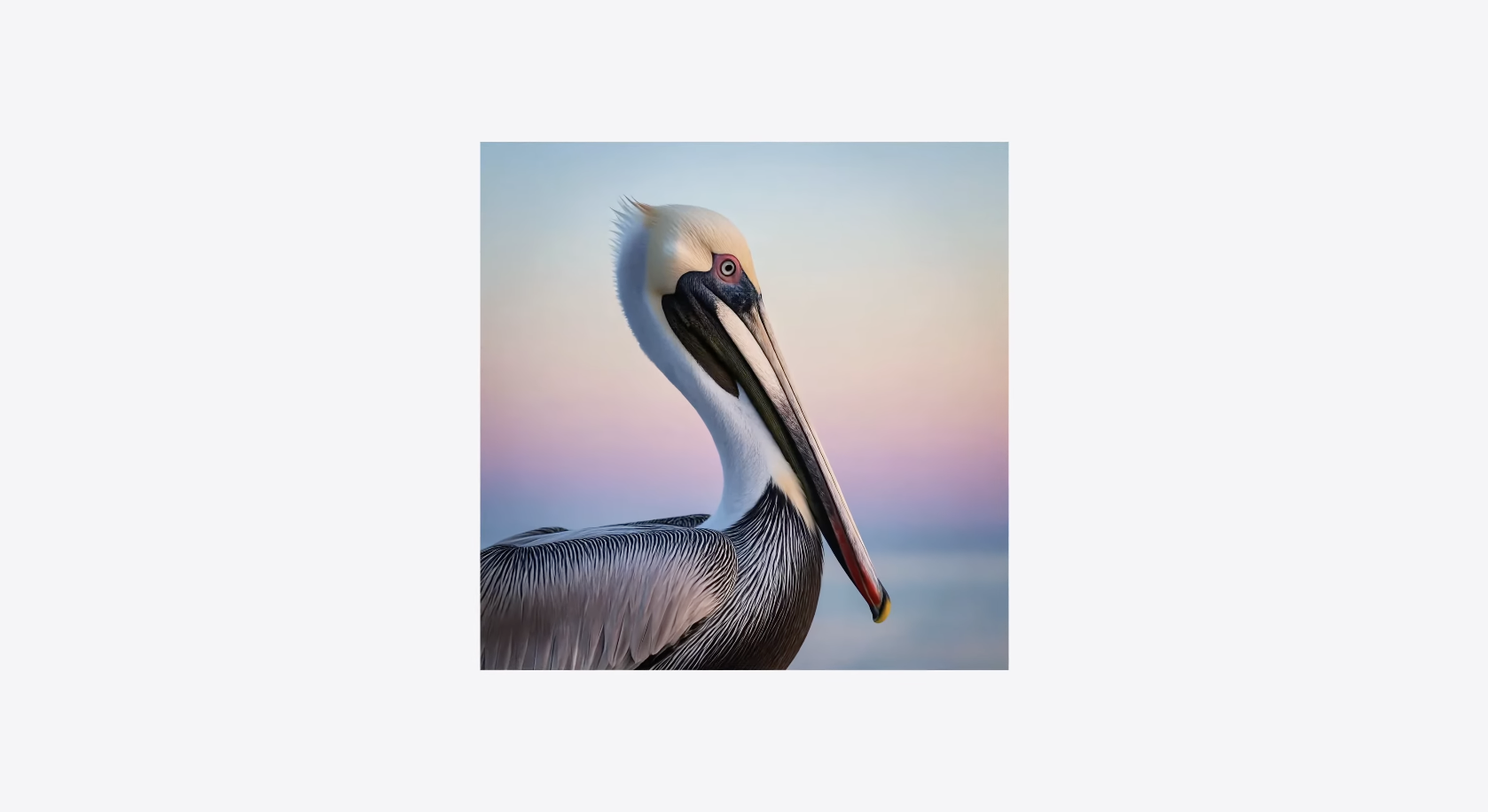 A photorealistic pelican generated by the new Image Playground in iOS 27