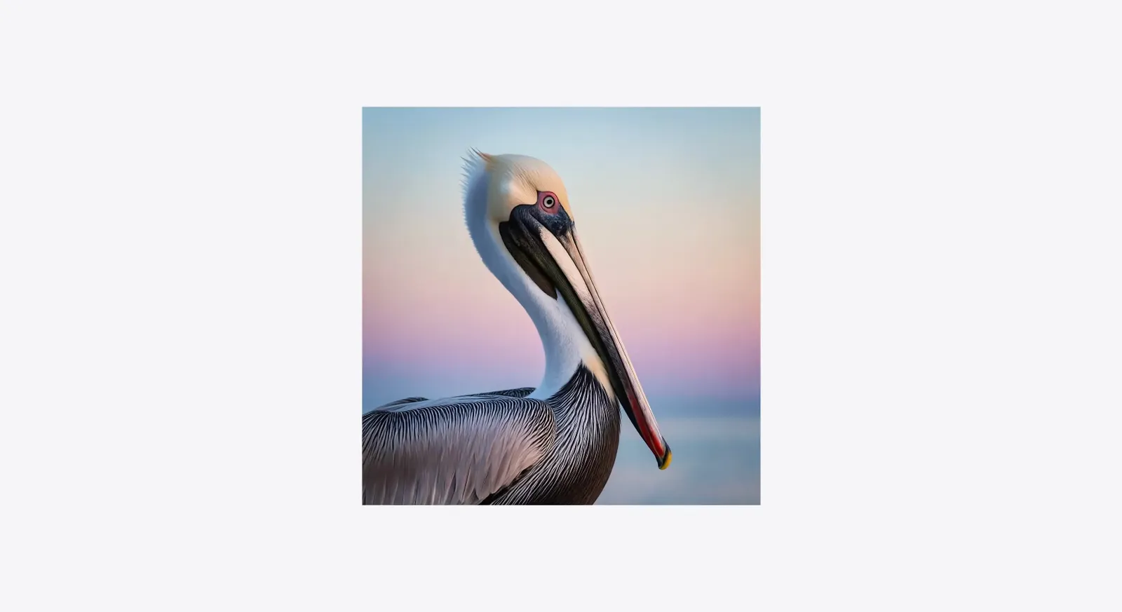 A photorealistic pelican generated by the new Image Playground in iOS 27